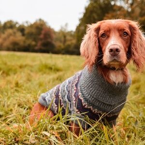 Barbour Case Fair Isle Dog Jumper - Medium
